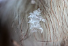 Last snowflake of 2012